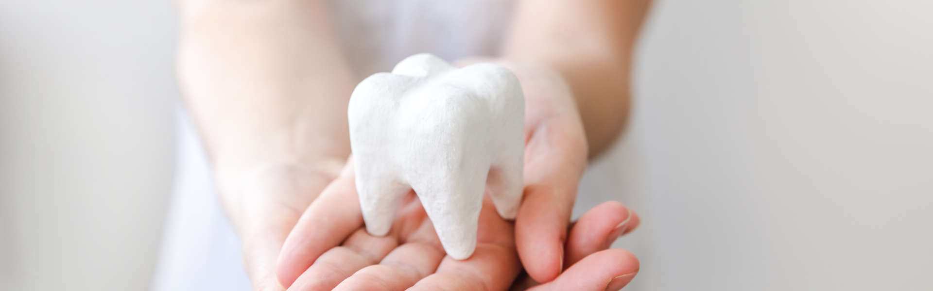 Woman hand holding white healthy tooth model.